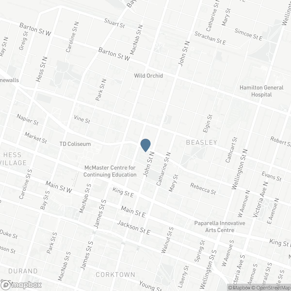 321 - 41 WILSON STREET, Hamilton, Ontario L8R 1C6